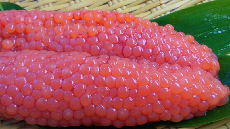 洋野町産　【極　鮮！】秋鮭の生筋子 たっぷりの1kg入り！自家製いくら漬けにどうぞ！