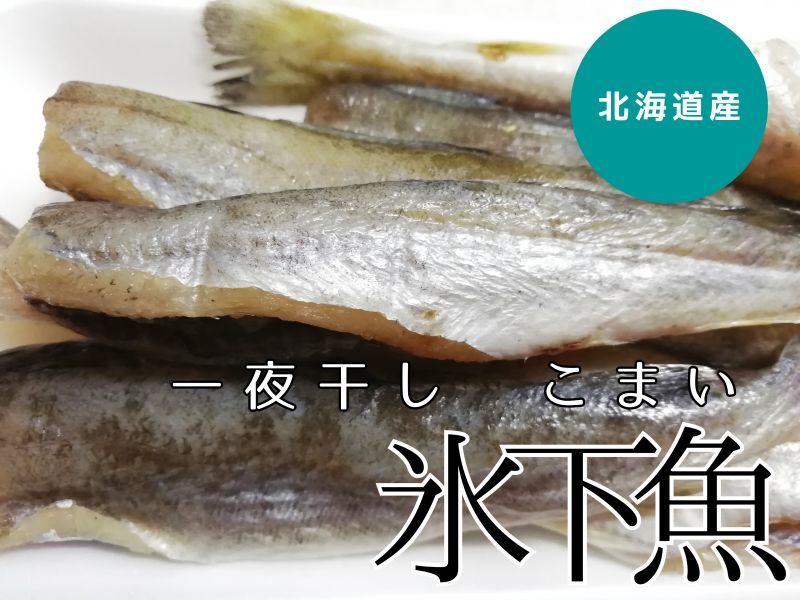 おつまみにどうぞ！ 北海道産 氷下魚 (こまい) 一夜干し 1ｋｇ入 こまい コマイ 珍味 - いわて北三陸 産直丸魚